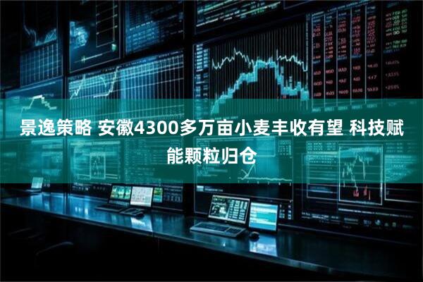 景逸策略 安徽4300多万亩小麦丰收有望 科技赋能颗粒归仓