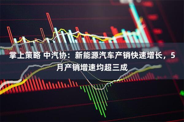 掌上策略 中汽协：新能源汽车产销快速增长，5月产销增速均超三成