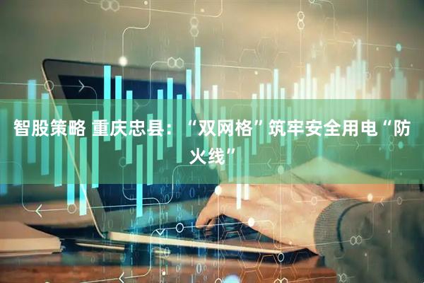 智股策略 重庆忠县：“双网格”筑牢安全用电“防火线”
