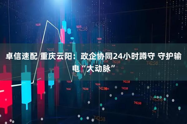卓信速配 重庆云阳：政企协同24小时蹲守 守护输电“大动脉”
