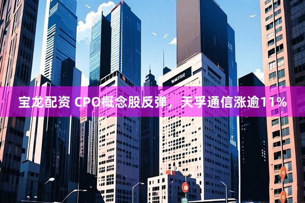 宝龙配资 CPO概念股反弹，天孚通信涨逾11%